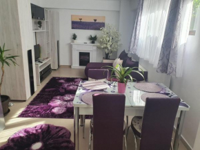 Charming one bedroom flat near city center